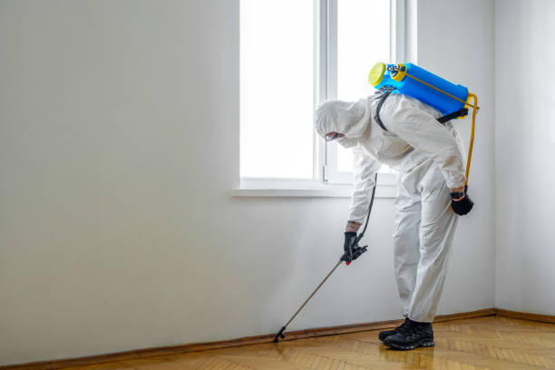 Professional Pest Control in Madera Acres, CA