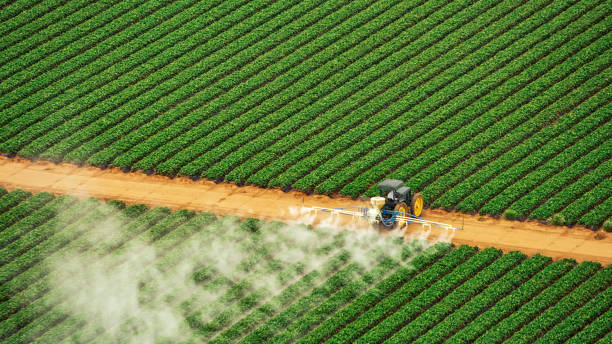 Best Pest Prevention Services  in Madera Acres, CA