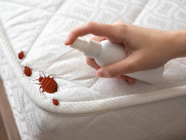 Best Pest Control Near Me  in Madera Acres, CA