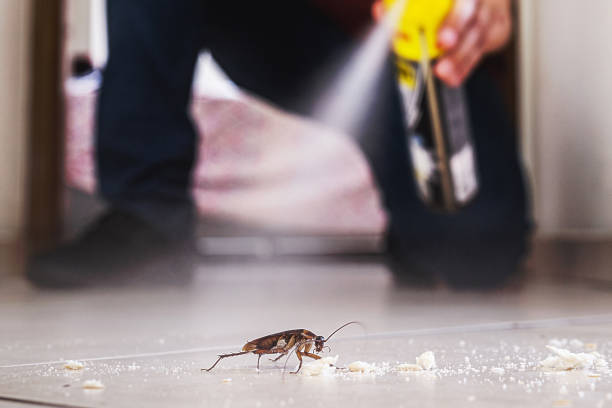 Flea Control Services in Madera Acres, CA